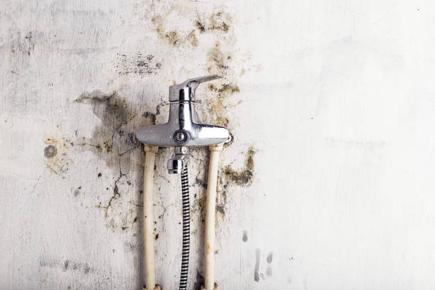 Best Health and Safety Mold Remediation in Mystic, CT