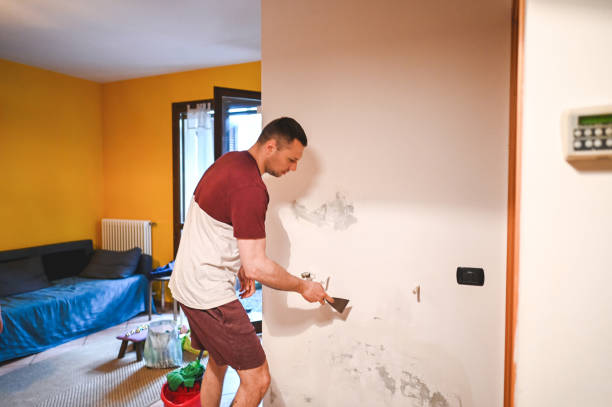 Best Crawl Space Mold Remediation in Mystic, CT